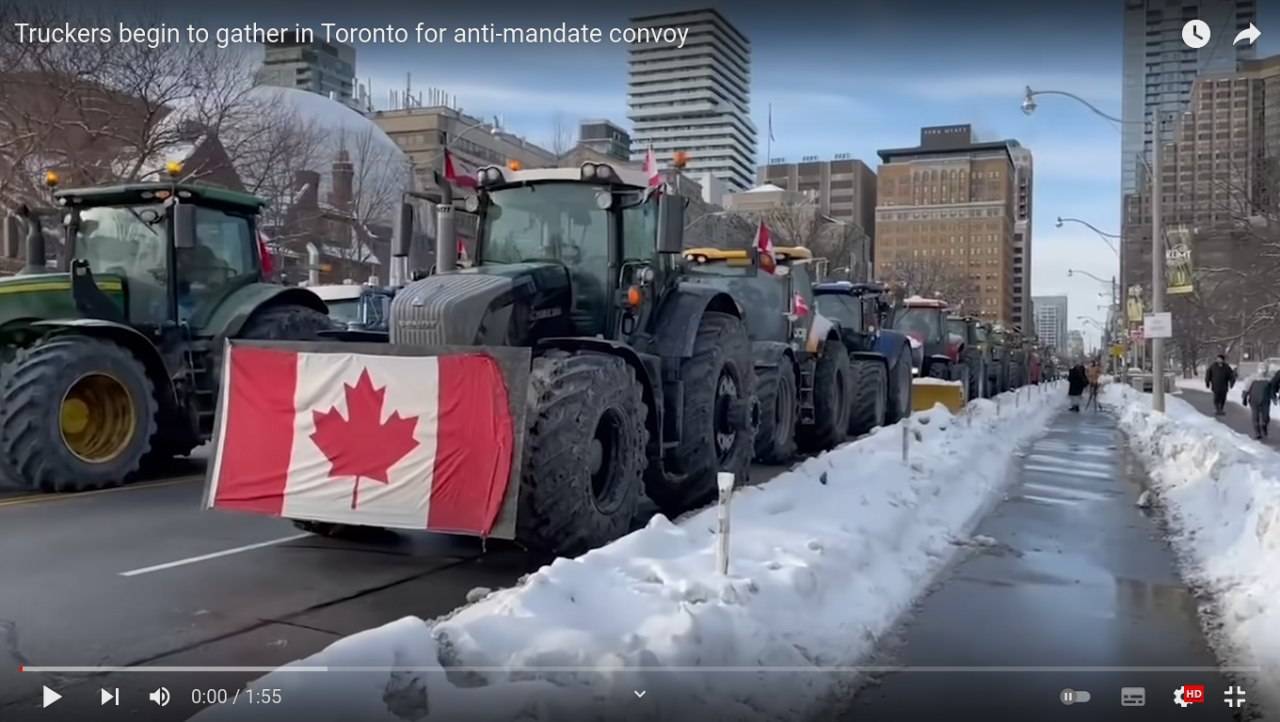 Торонто, цитата из видео с YouTube канала CityNews