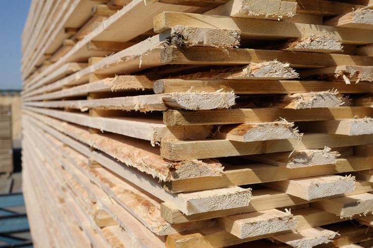 Совет Федерации поблагодарил Ленинградскую область за помощь Донбассу древесиной