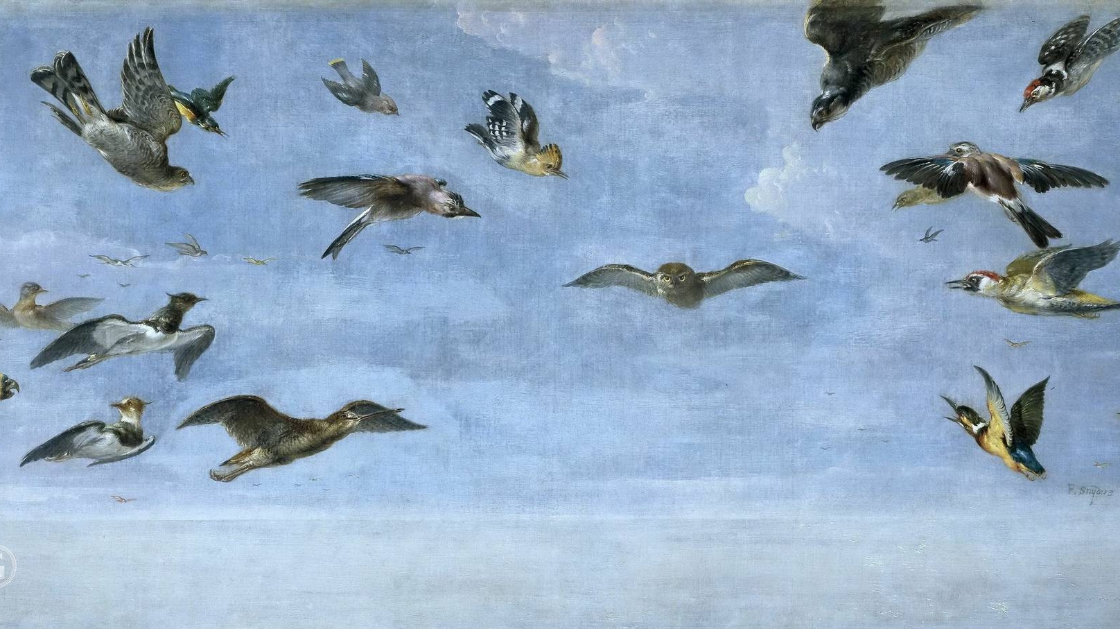 Франс Снейдерс. Птицы (фрагмент). XVII в.