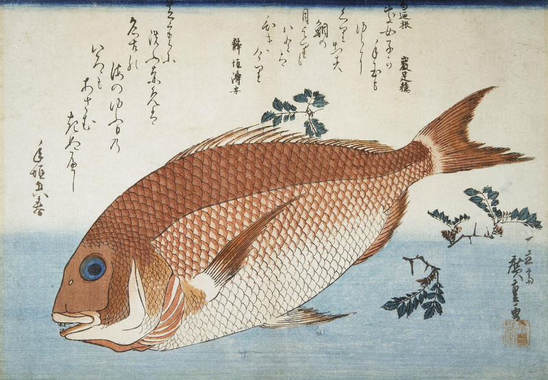 Утагава Хиросигэ. Красный морской лещ и листья перца саншо. 1833