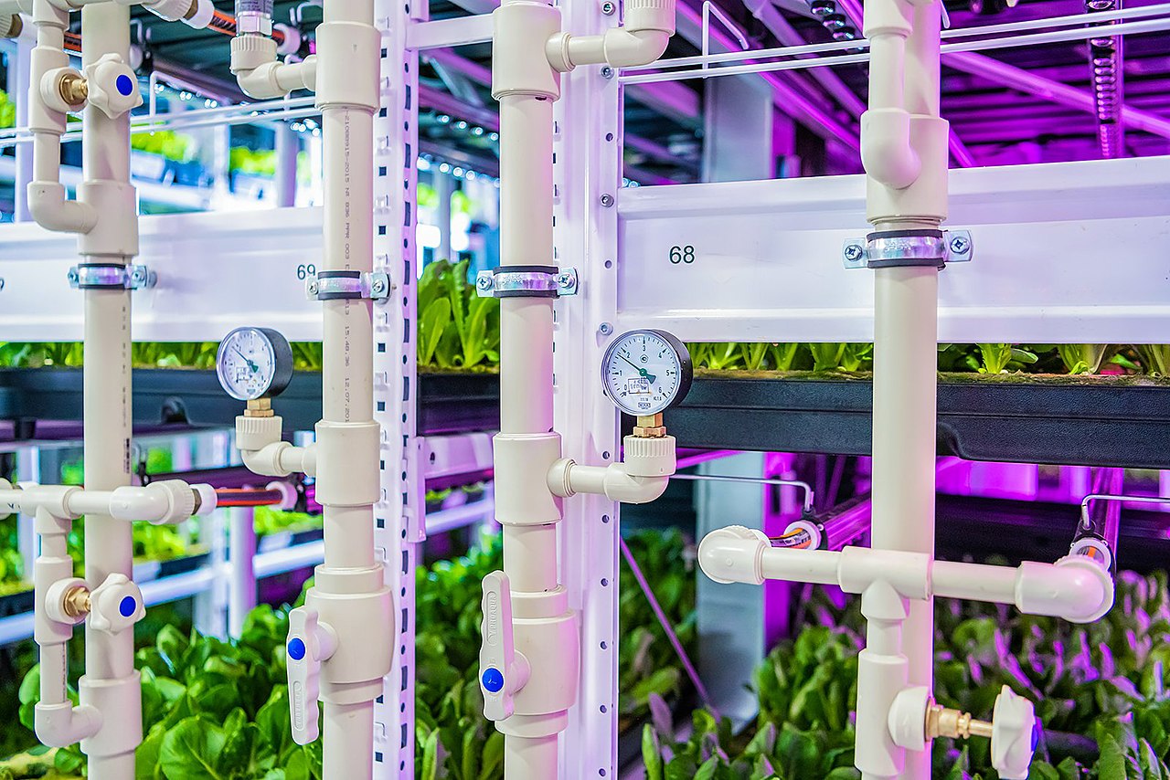 Вертикальная ферма