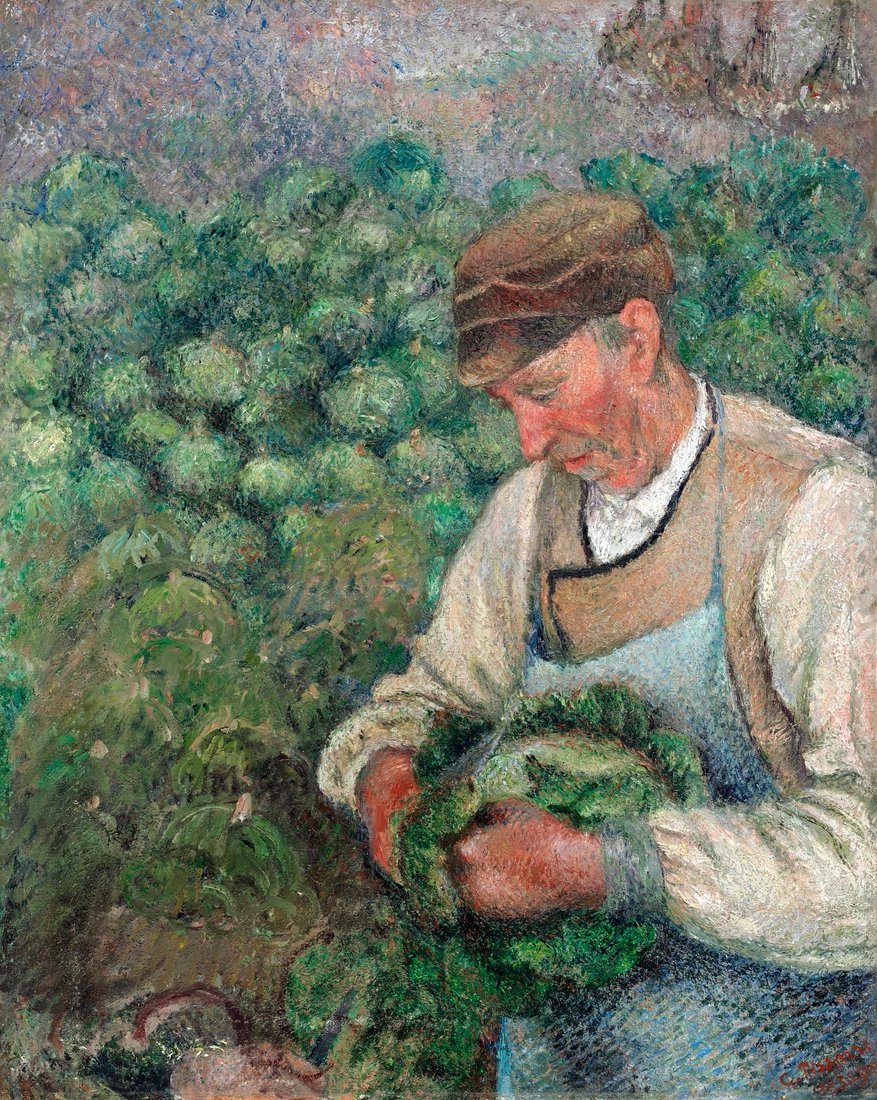 Камиль Писсарро. Садовник — старый крестьянин с капустой. 1883-1895