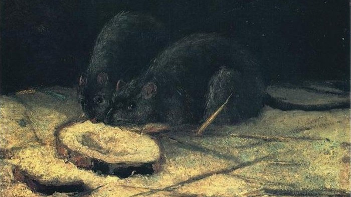 Винсент Ван Гог. Две крысы.1884