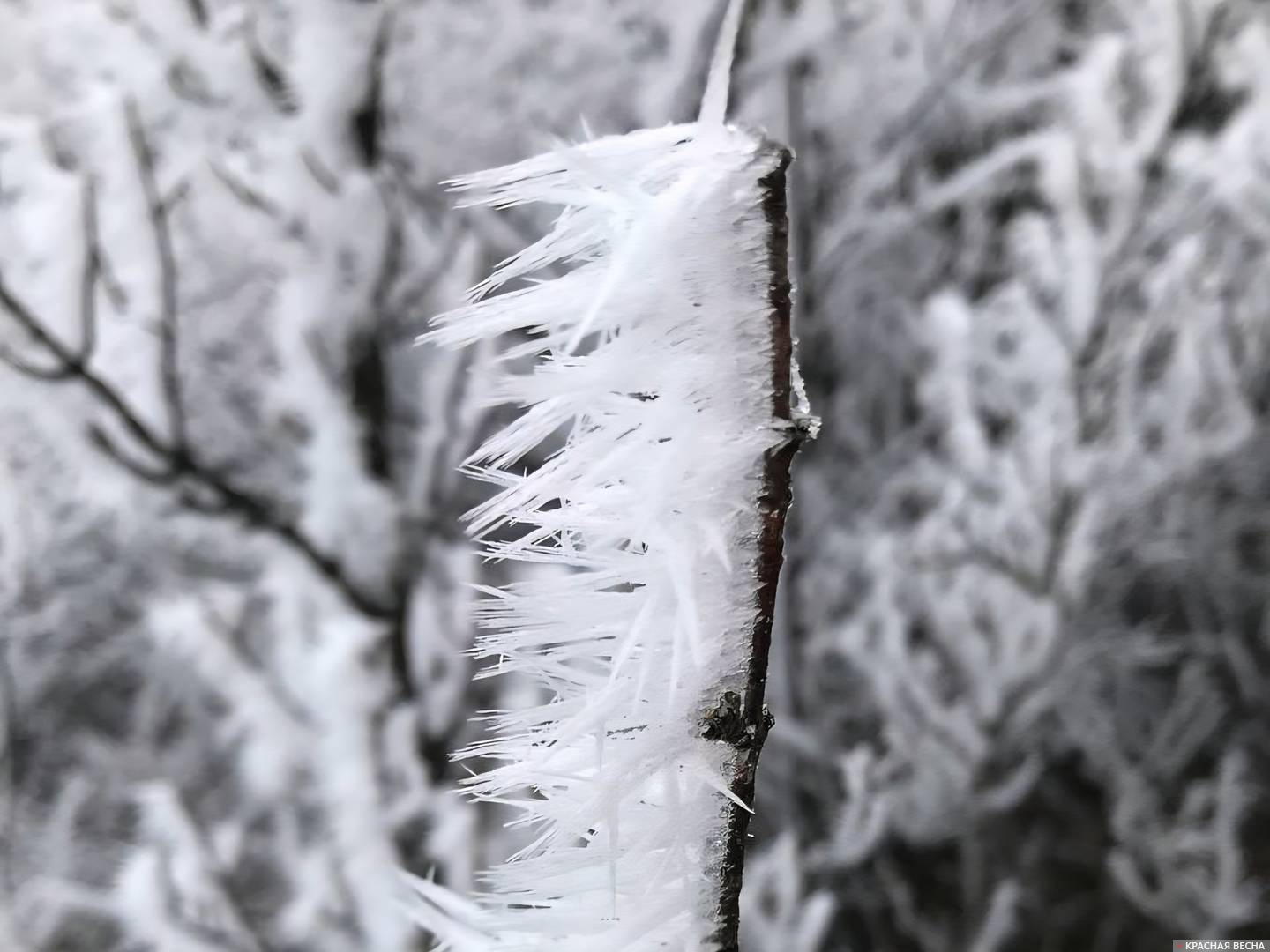 Игольчатые снежинки