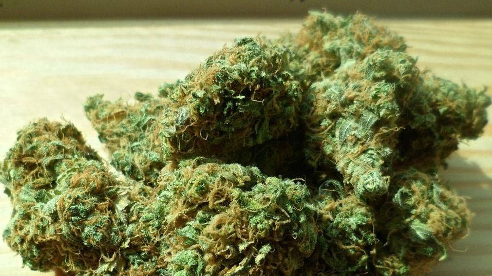 Марихуана черногории легализована марихуана в американских штатах