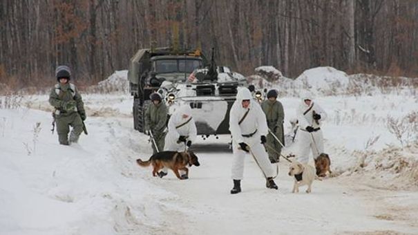 И кинологи — саперы