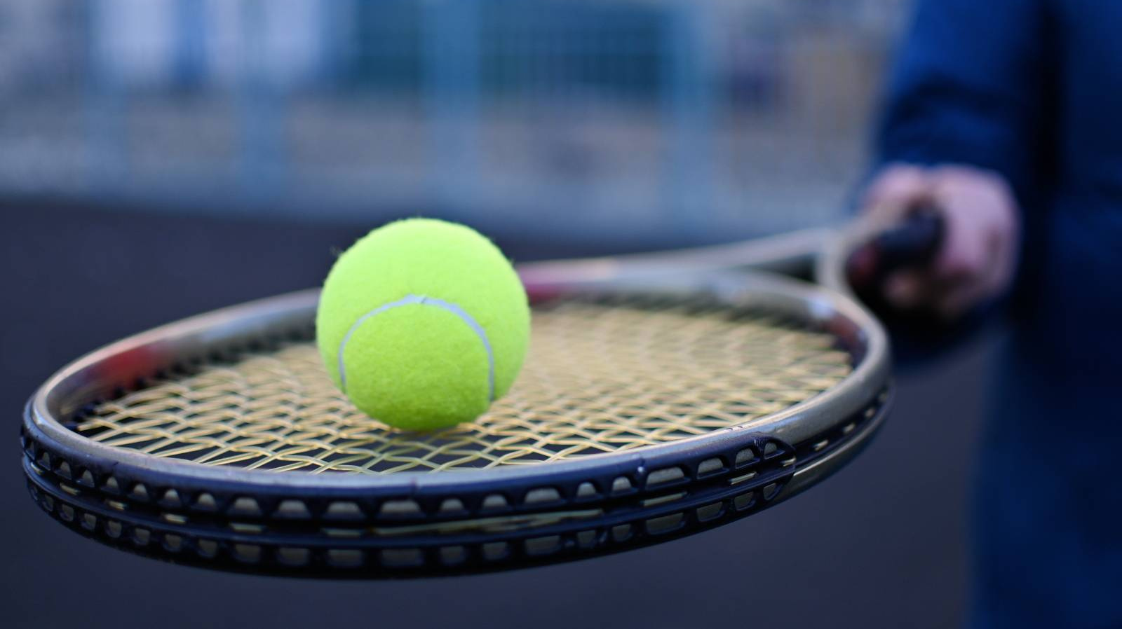 Теннисный турнир в дубае сетка