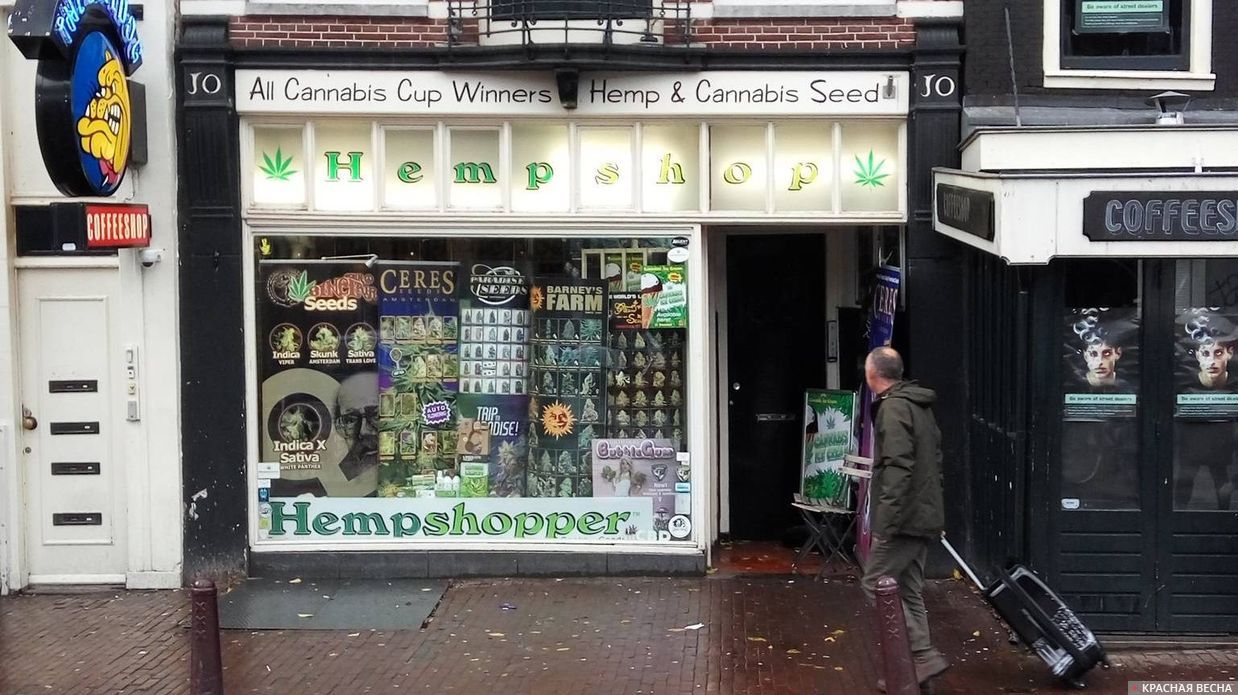 Магазин лёгких наркотиков. Амстердам. Голландия