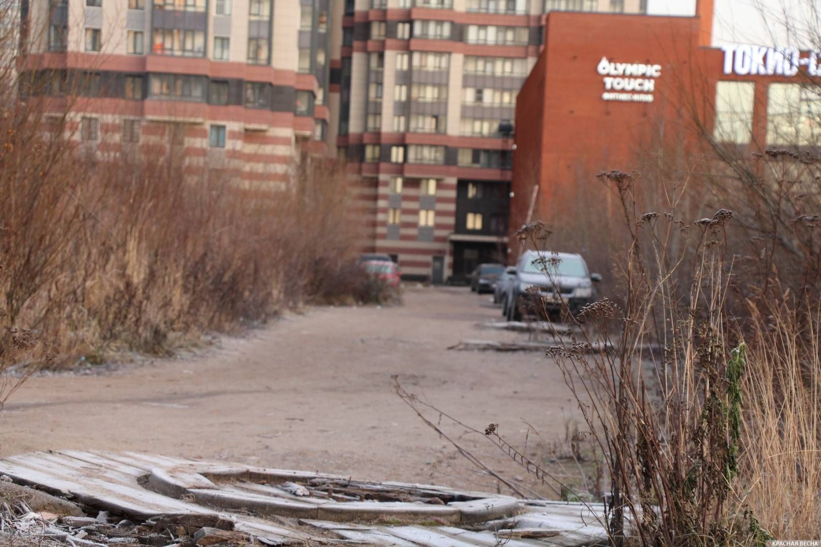 Тернистый путь школьника. В Петербурге открыли школу, а про подходы забыли?  | ИА Красная Весна