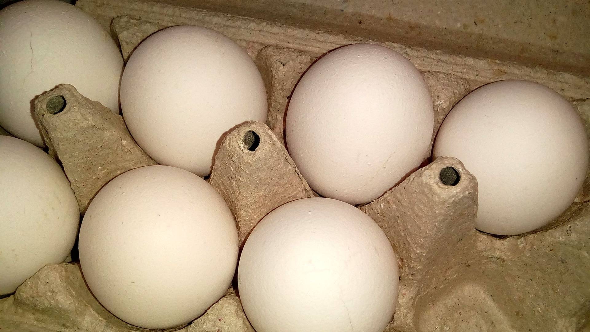 Разрушить яйца. Куры и яйца. Куриные яйца армянские. Яйца куриные подделывают. Яйца с Армении.