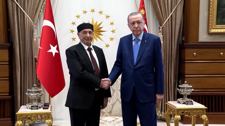 Переговоры спикера Палаты представителей Ливии Агилы Салеха (слева) и президента Турции Реджепа Тайипа Эрдогана (справа)