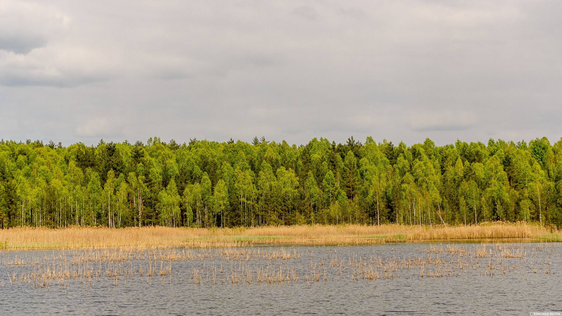 Национальный парк «Орловское полесье». Граница с Брянской областью.