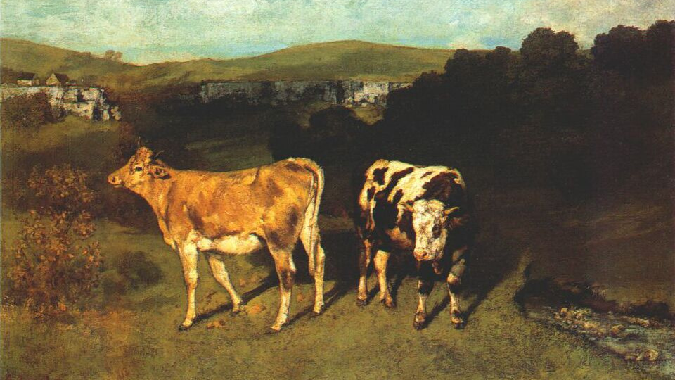 Гюстав Курбе. Белый бык и светлая корова. 1851