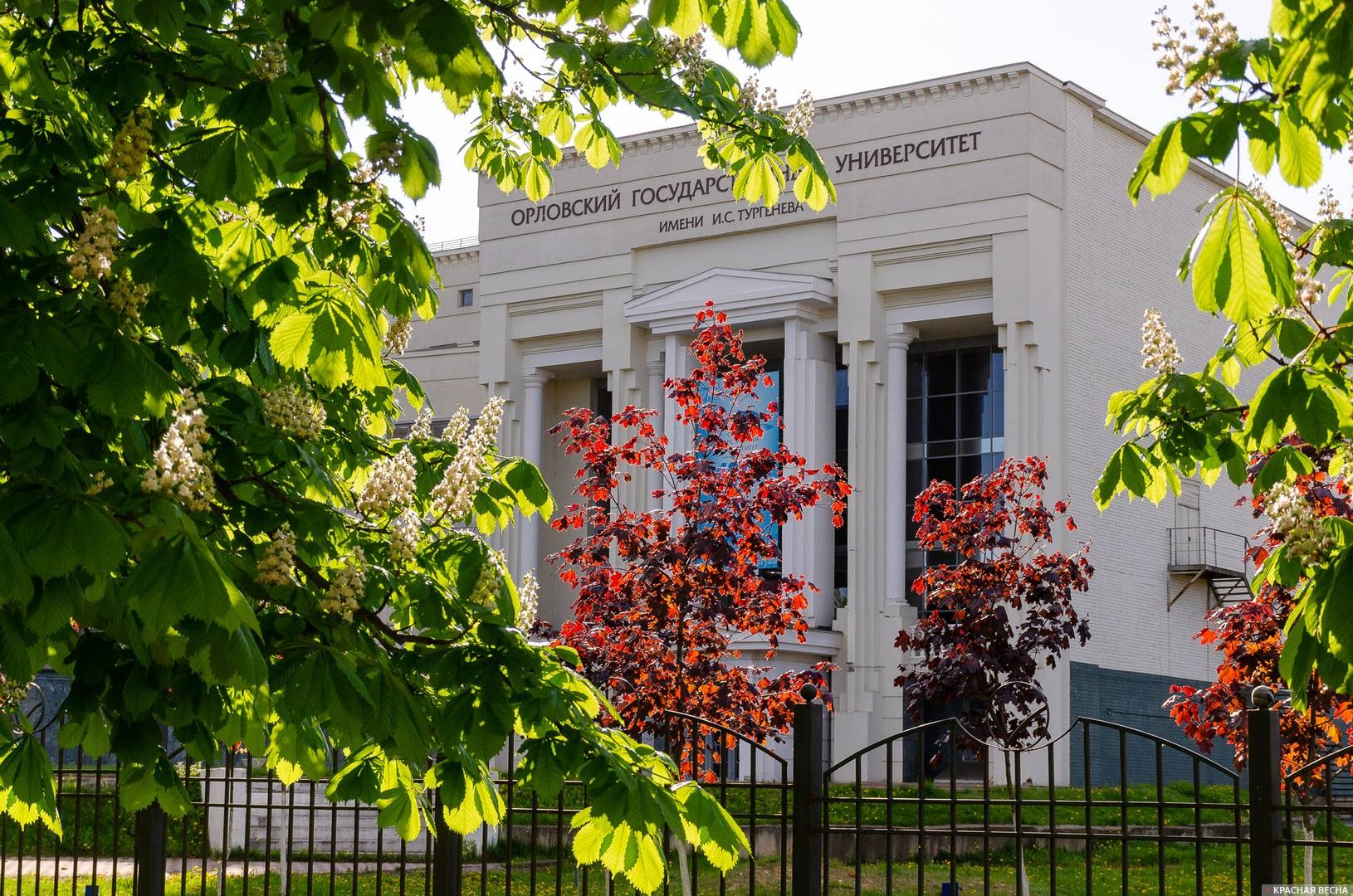 У здания фундаментальной библиотеки Орловского Государственного Университета. Весна.