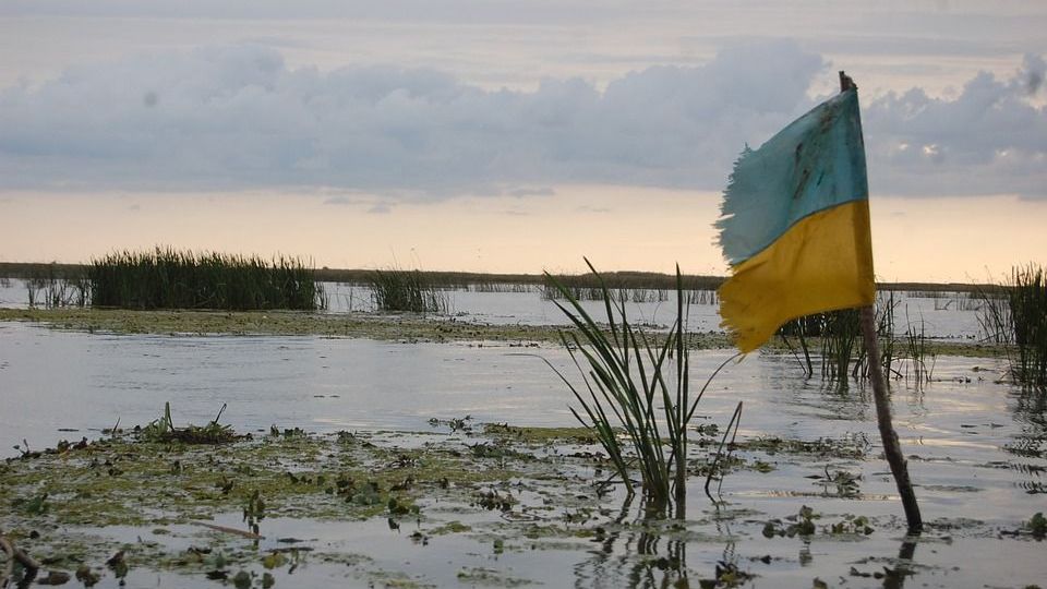 Украина в болоте