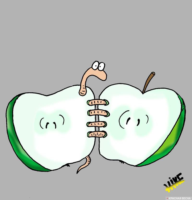 Яблоко-книга сшитое червем