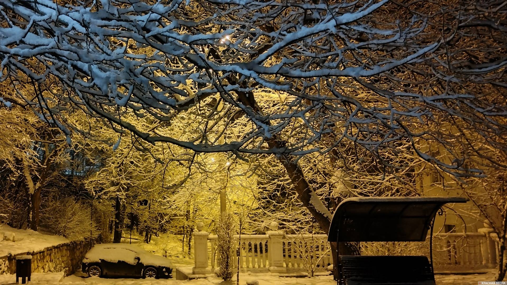 Севастополь. Зима. Снег. Ночь. Уличные фонари