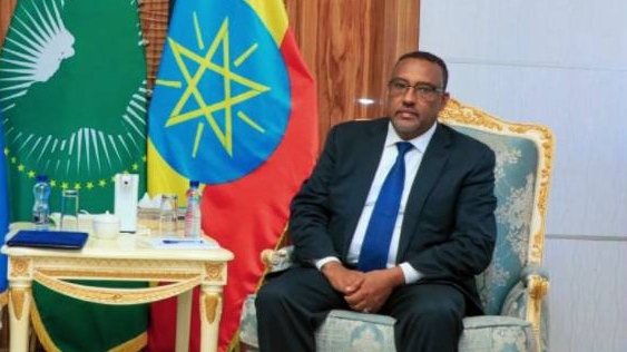 Глава МИД Эфиопии Демеке Меконнен
