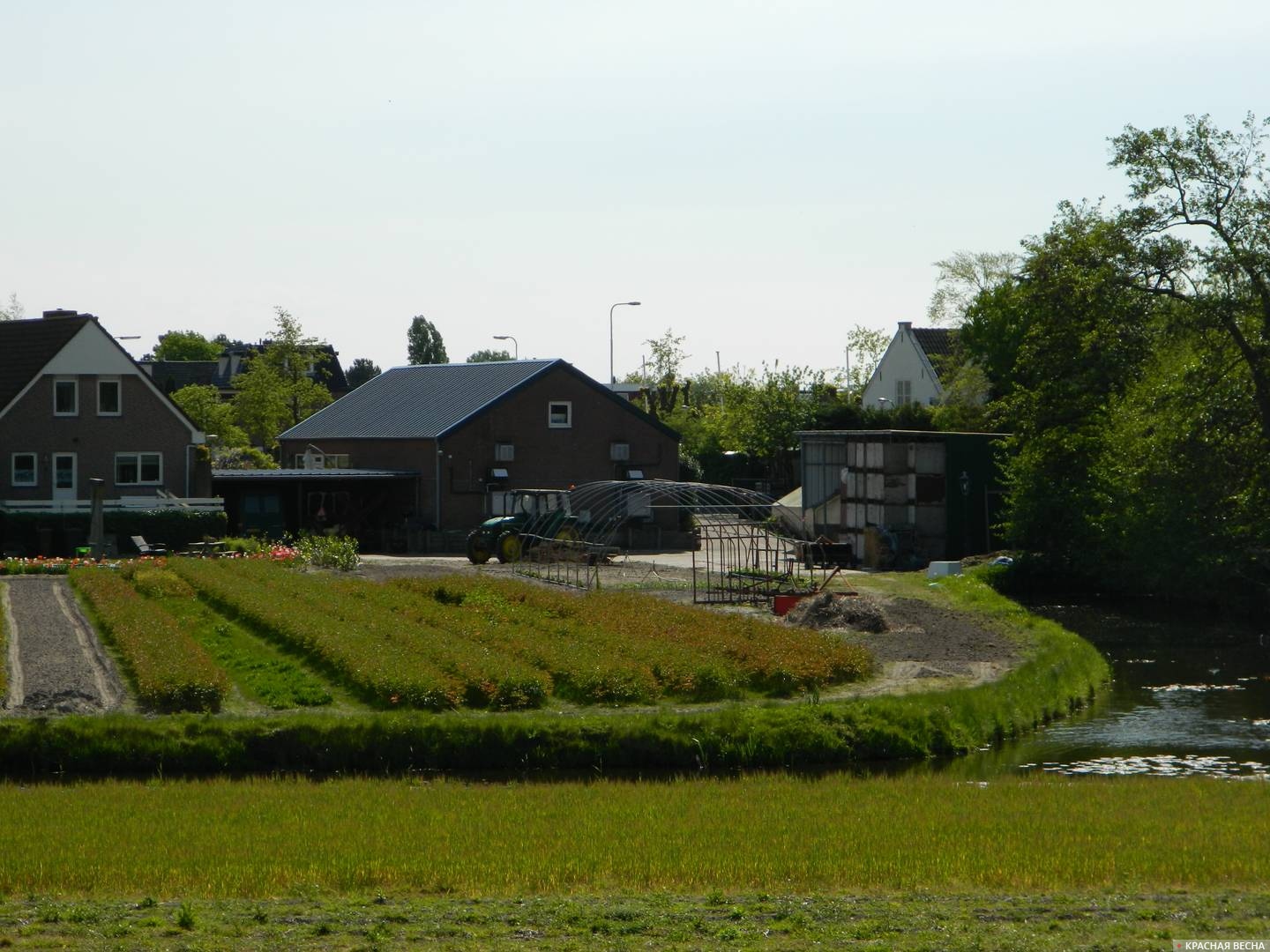 Голландия огород