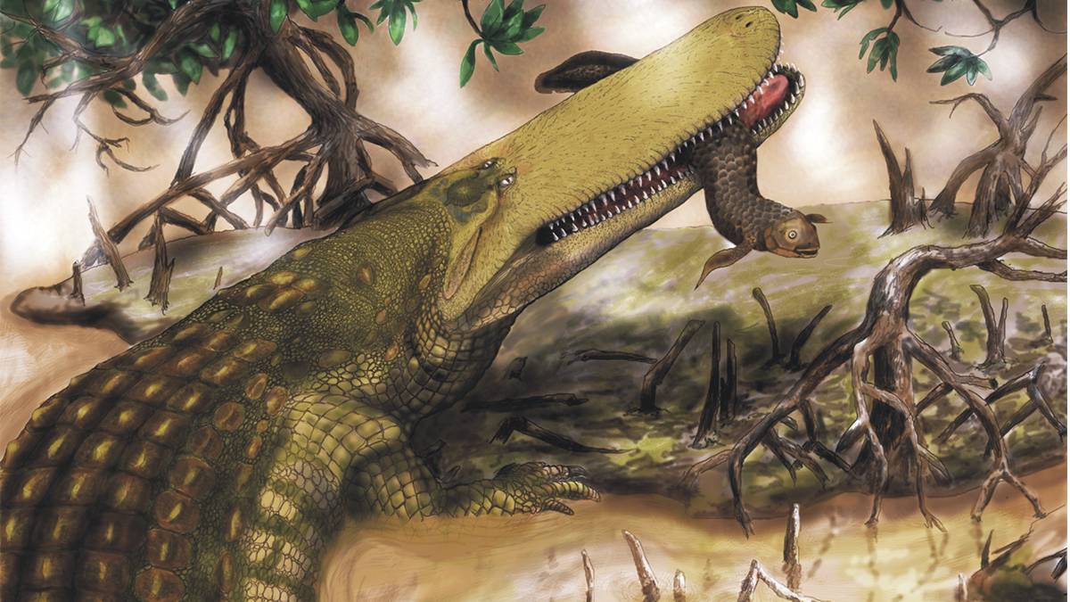 Aegisuchus. Вымерший род гигантских крокодилов