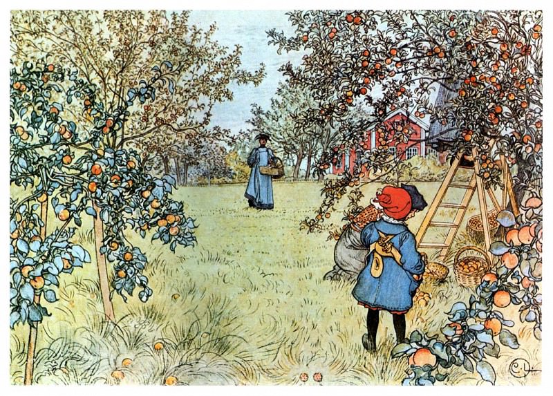 Карл Улоф Ларссон. Сбор урожая яблок. 1903