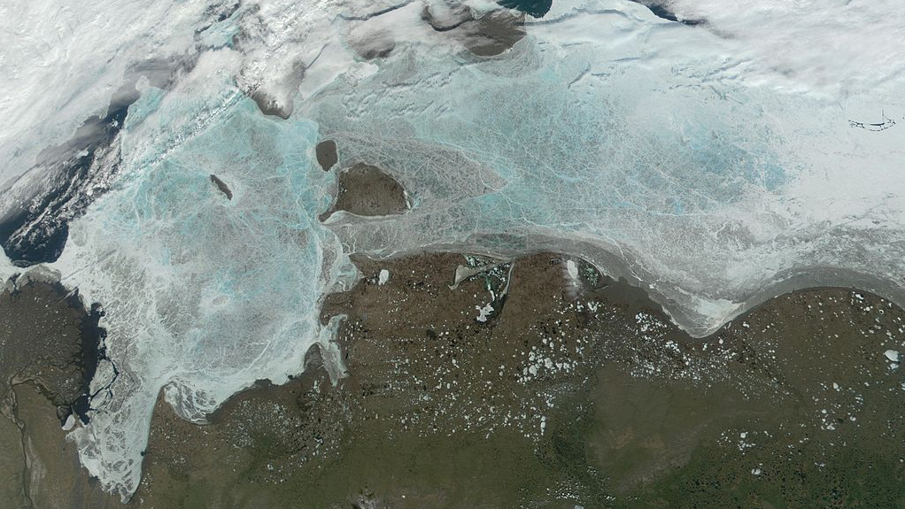 Море Лаптевых подо льдом. Области тонкого льда — голубого цвета. По центру изображения Новосибирские острова, в левой части — Великая Сибирская полынья.