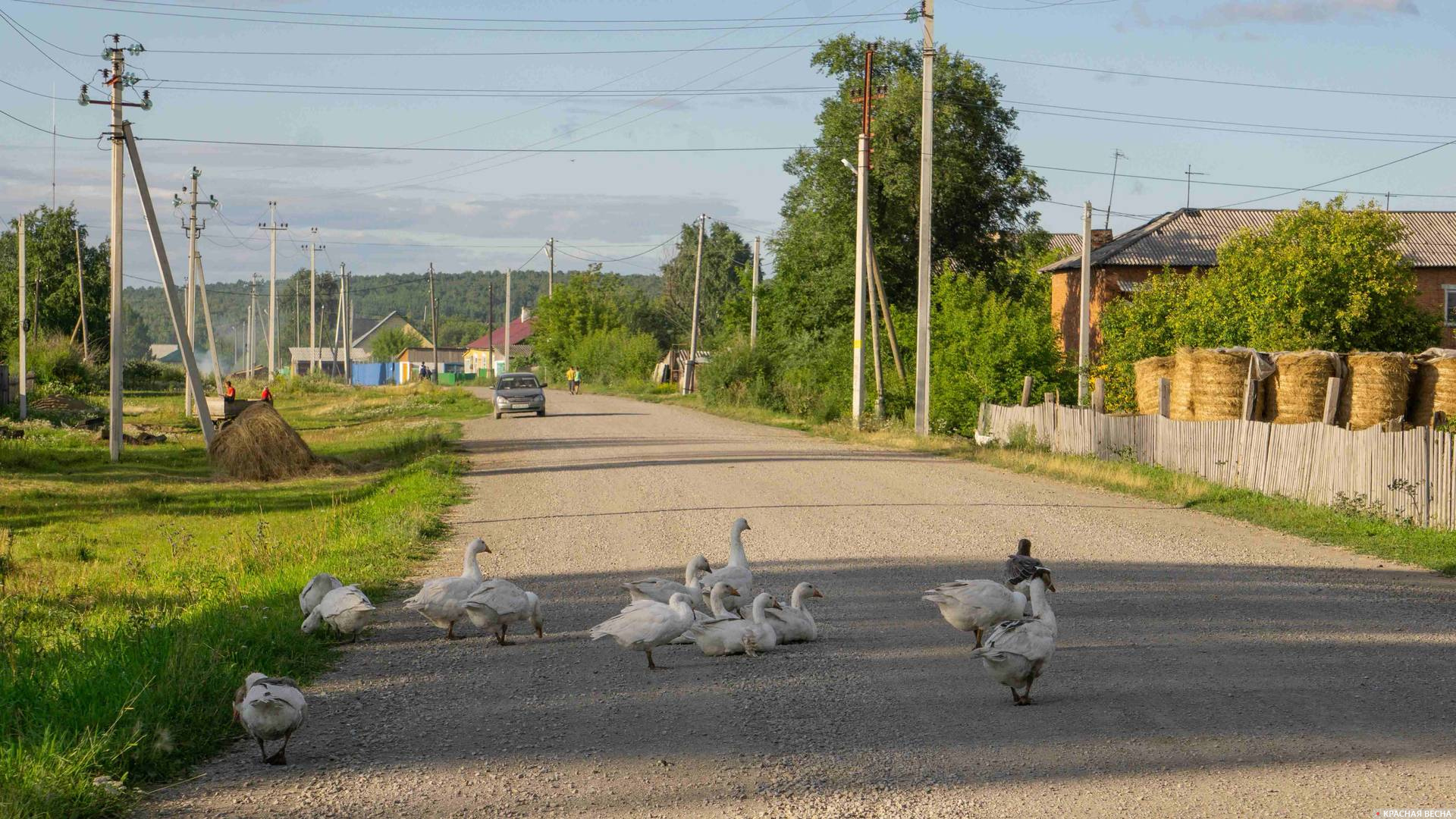 Сельская дорога