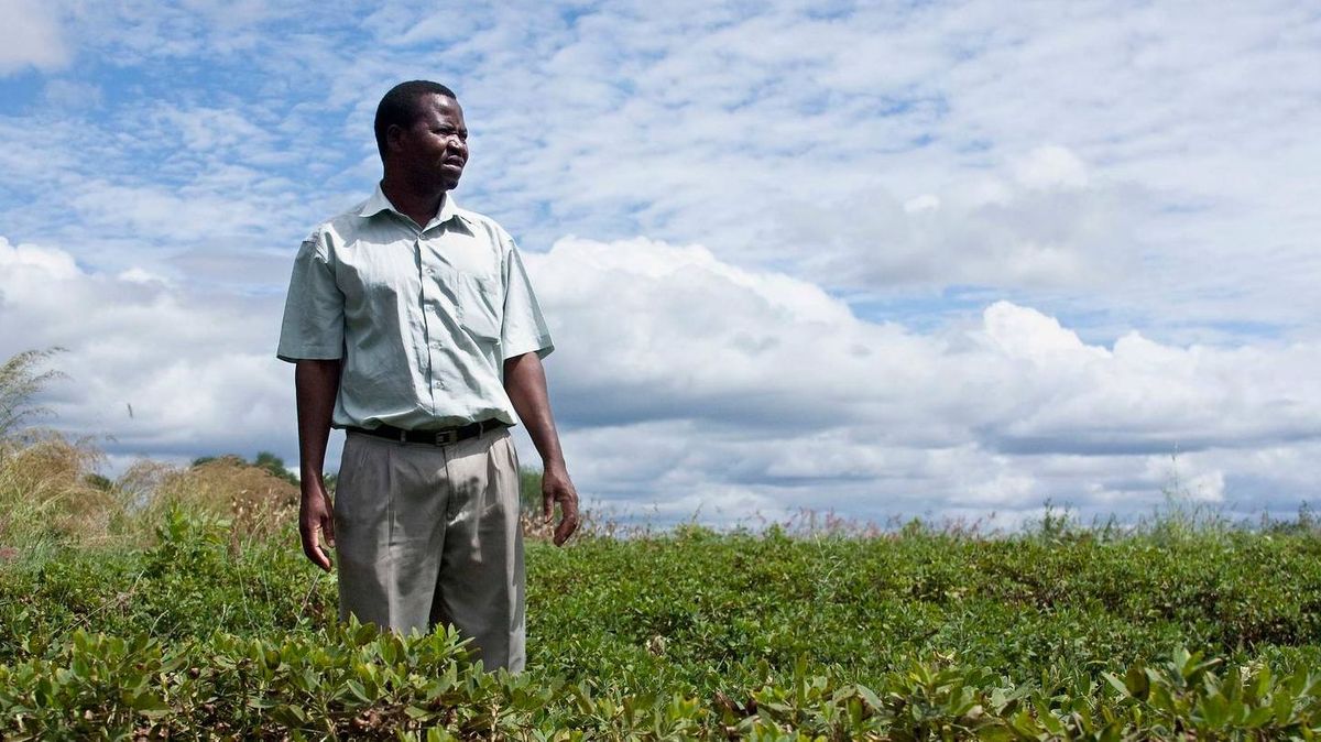 Фермер в Малави