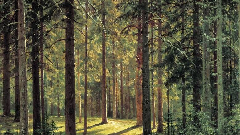 И. И. Шишкин. Хвойный лес в солнечный день. 1895