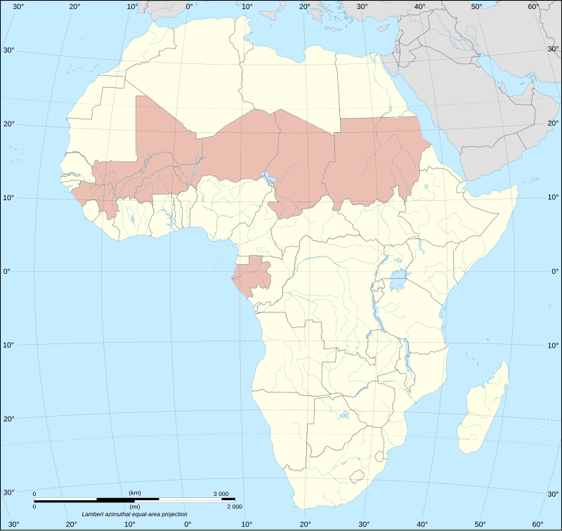 «Пояс переворотов» в Африке — страны континента, в которых совершены перевороты с 2020 по 2023 гг. (Гвинея, Мали, Буркина-Фасо, Нигер, Чад, Судан, Габон)