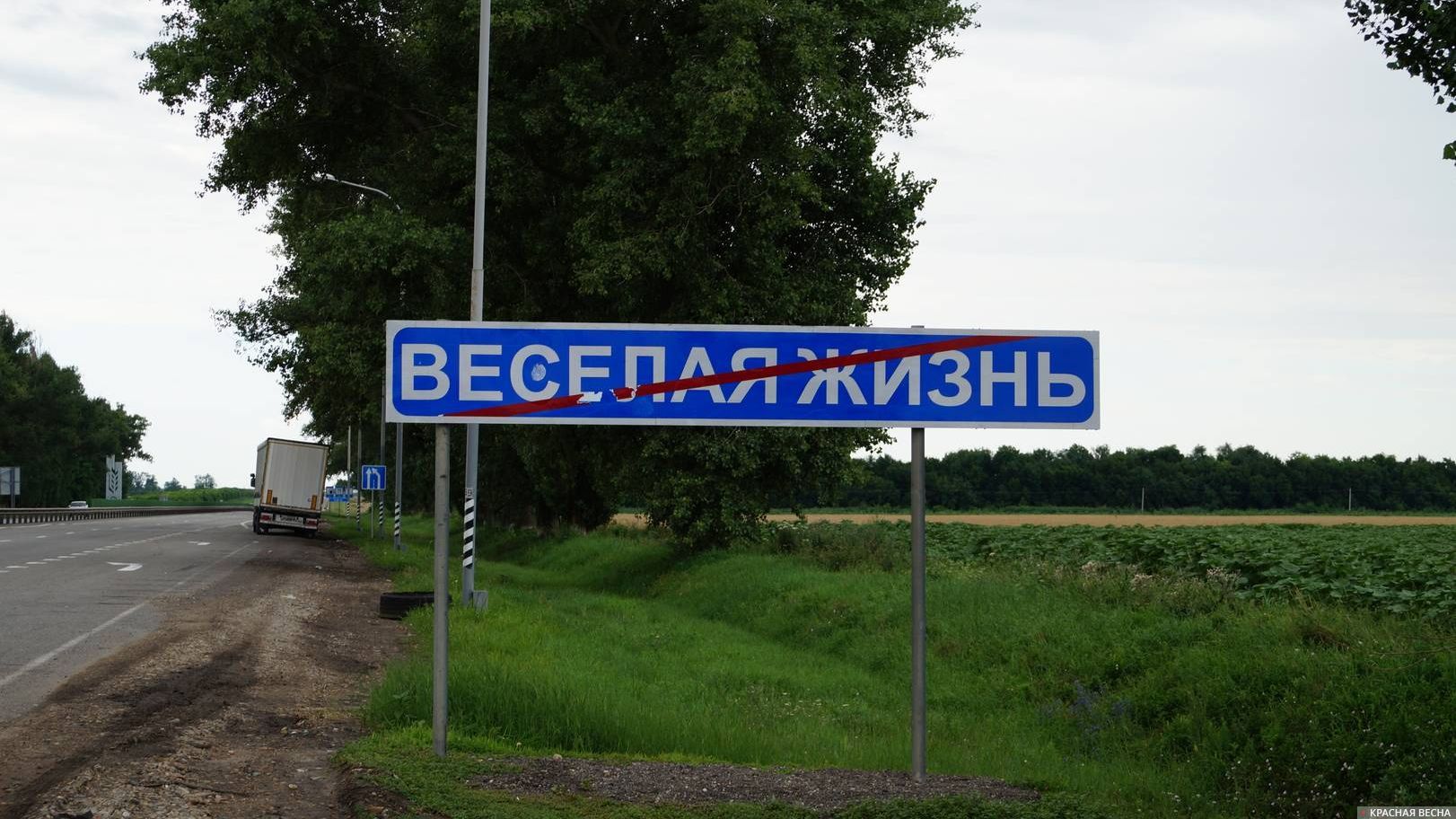 Веселая жизнь. Краснодарский край. 06.07.2015