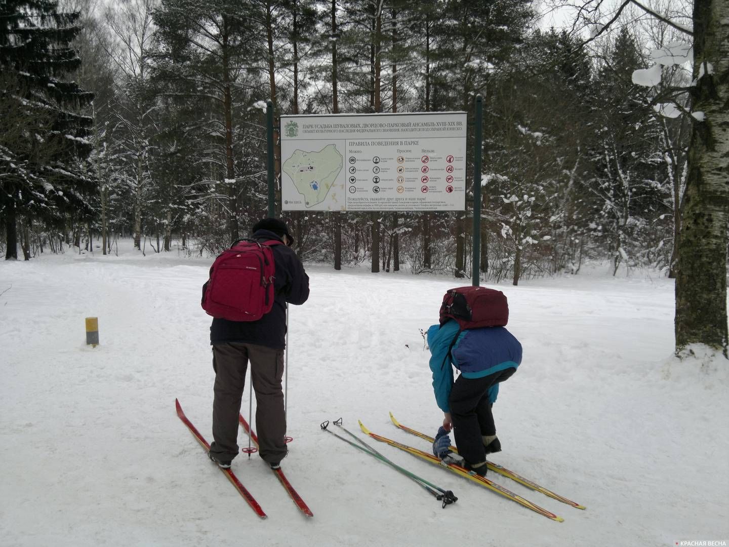 На входе в Шуваловский парк любители покататься встают на лыжи