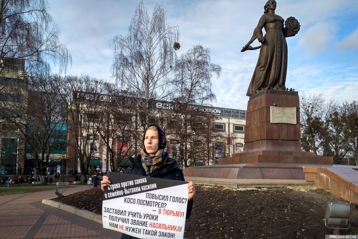 Калининград. Пикет против закона о семейно-бытовом насилии