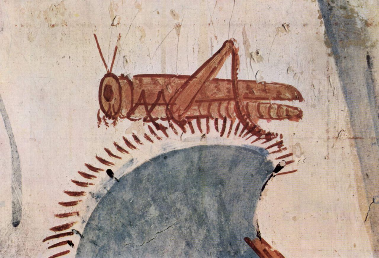 Изображение саранчи в гробнице Хоремхеба, XV век до н. э.