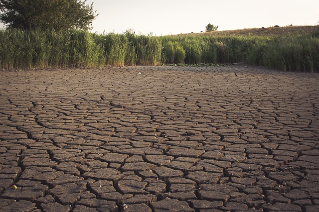 Ученые выяснили, грозит ли Европе быстрое распространение засухи