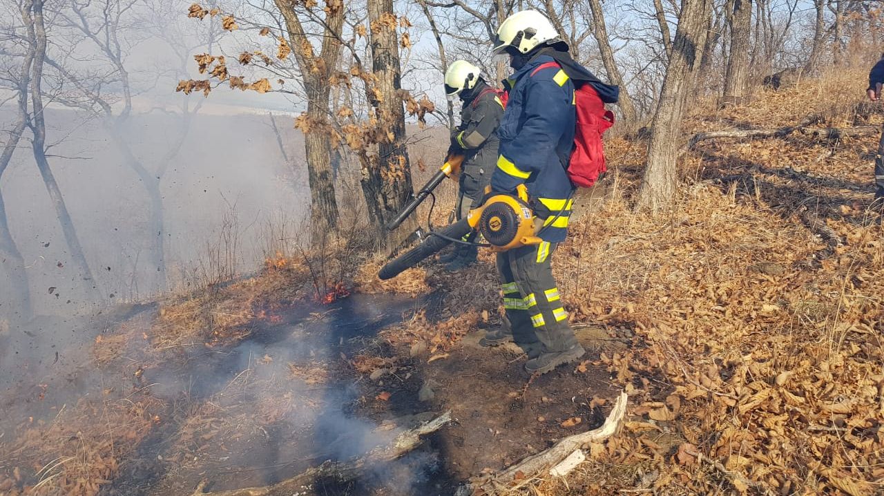 На территории Приморья, в краевой столице введен особый противопожарный режим