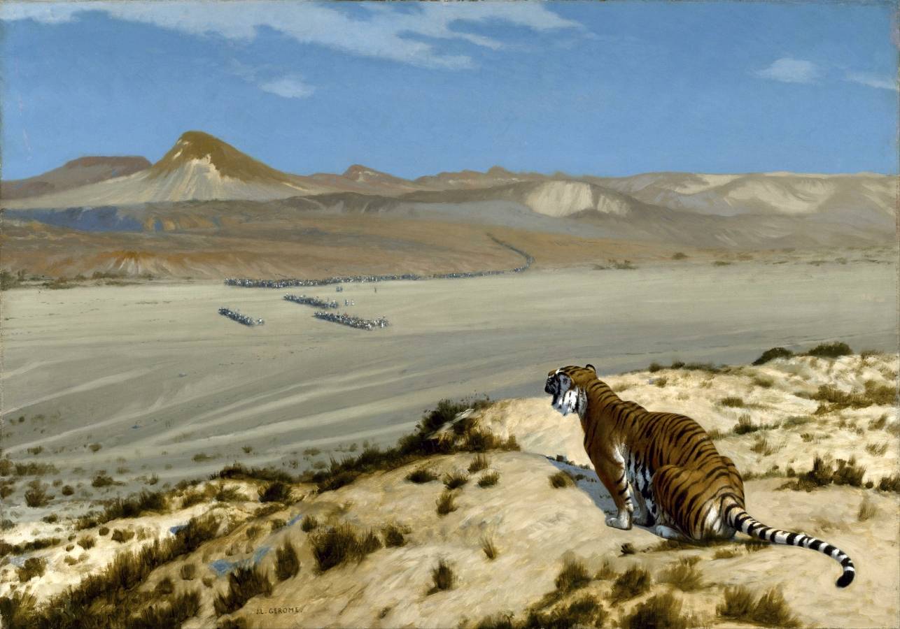 Жан-Леон Жером. Наблюдающий тигр. 1888