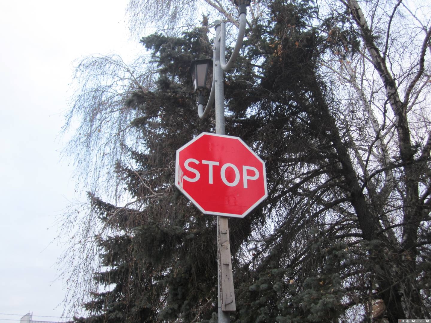 Знак «Движение без остановки запрещено»