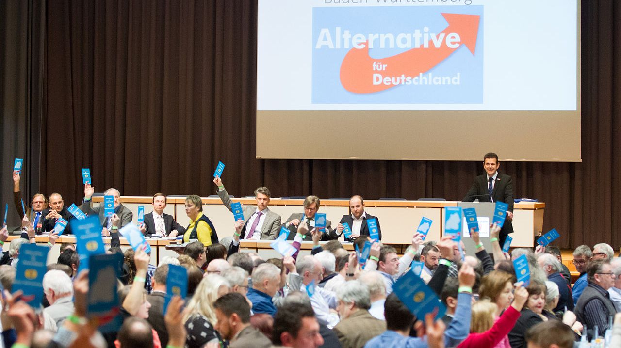 Партийная конференция Альтернативы для Германии