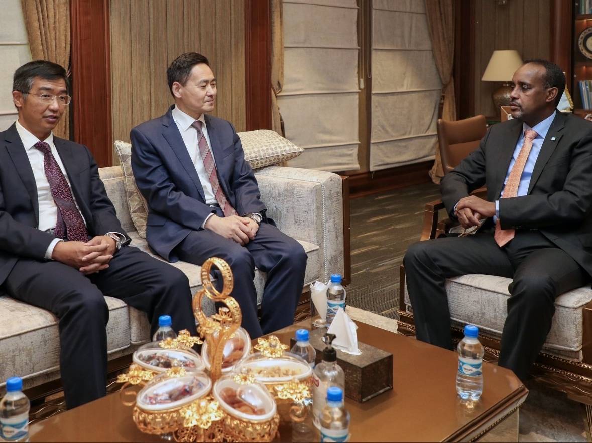 Спецпосланник Китая на Африканском Роге Сюэ Бин (в центре)