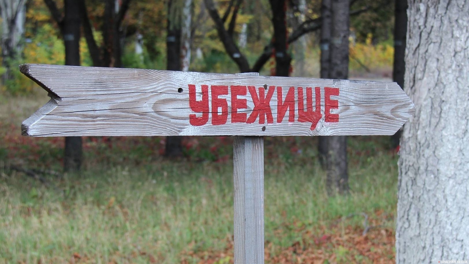 Указатель на убежище