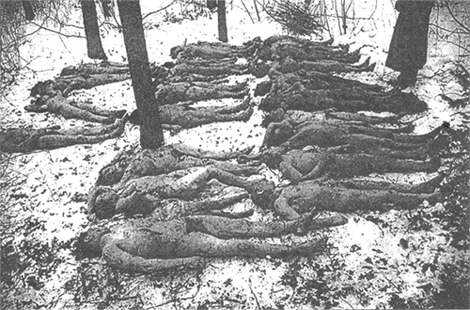 Жертвы украинских нацистов