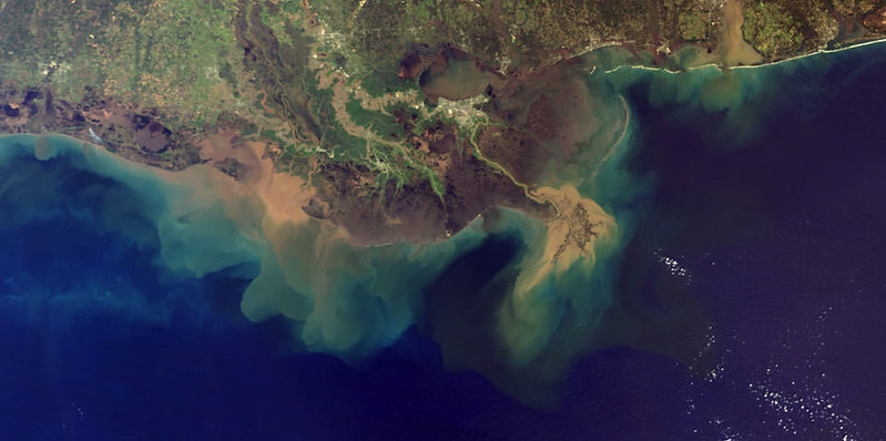 Мертвая зона Мексиканского залива