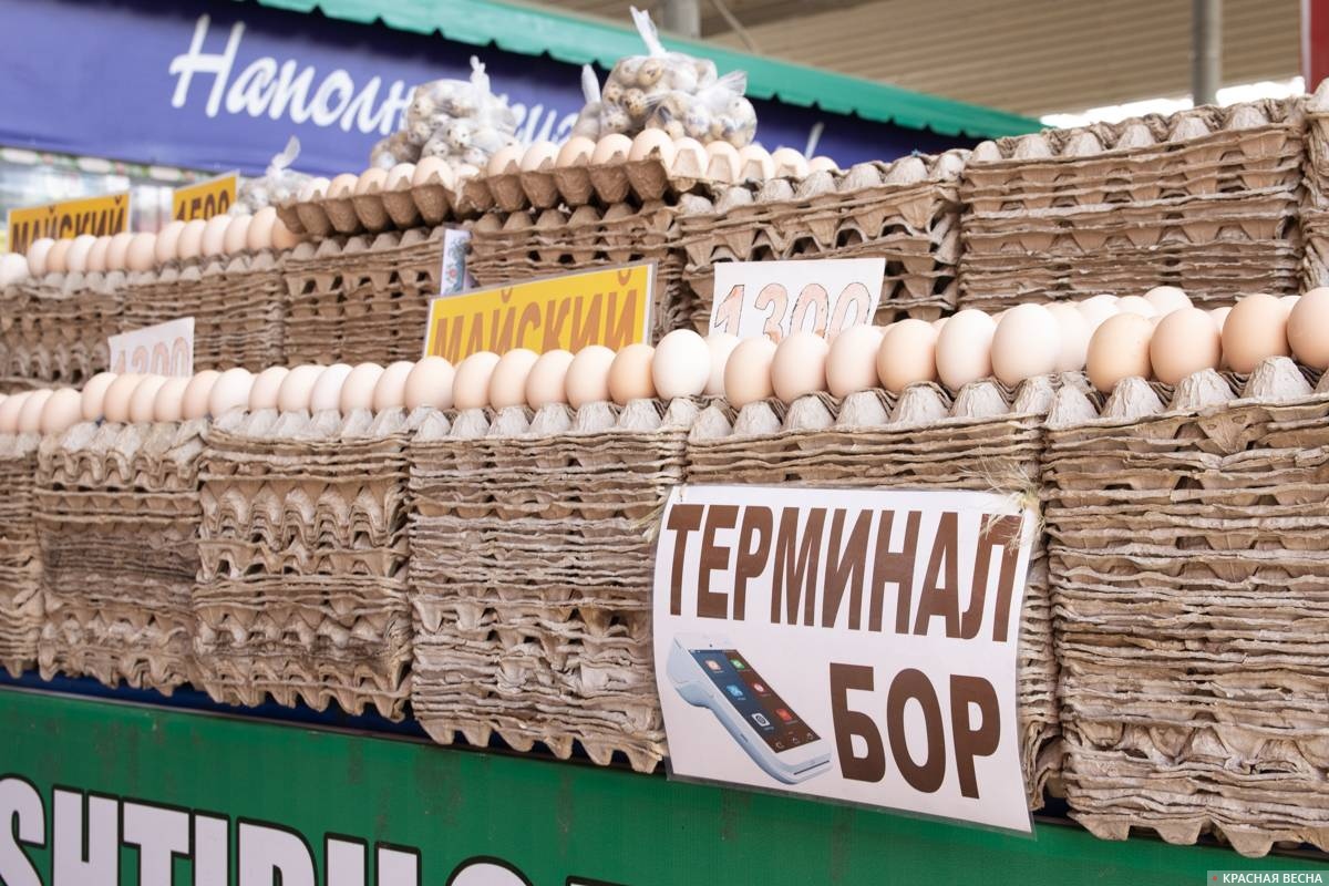 Продажа яиц в Ташкенте