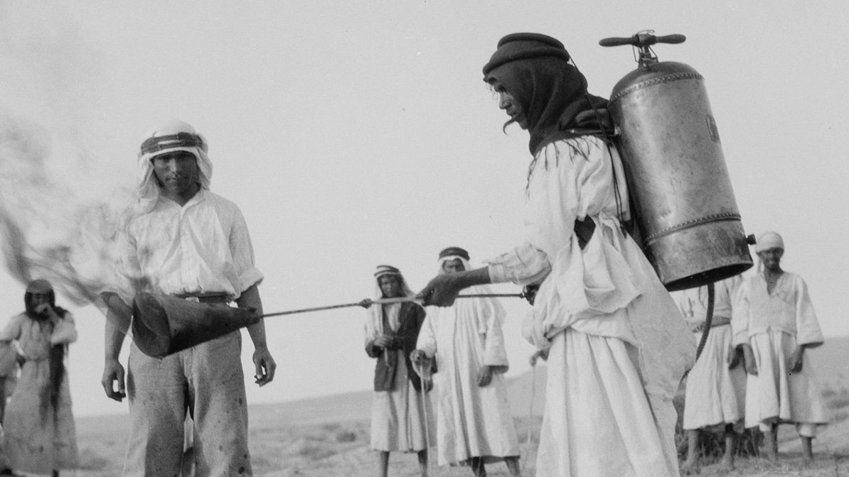 Борьба с саранчой, 1915 год