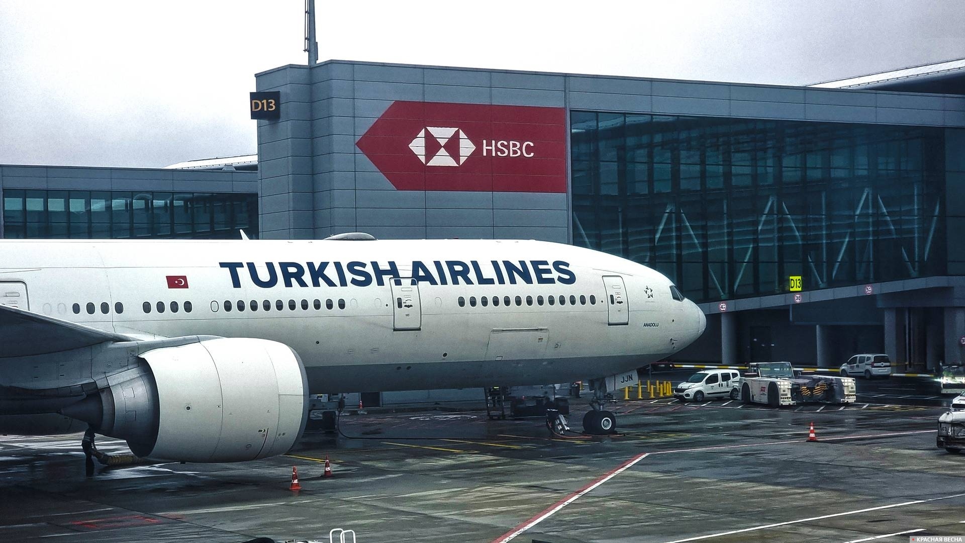 Turkish Airlines. Аэропорт Стамбул. Турция