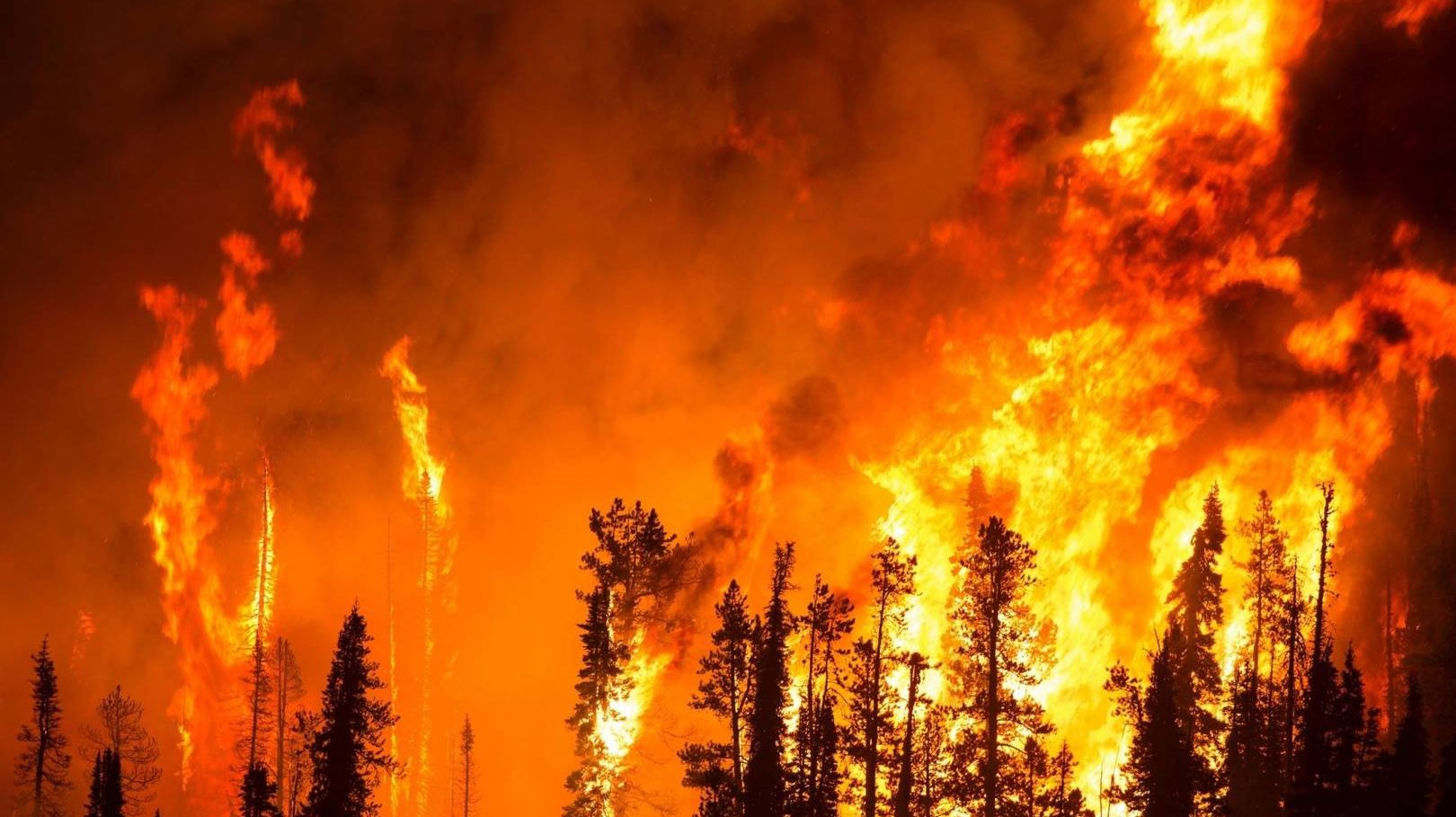 Лесной пожар Бесплатная фотография — Public Domain Pictures
