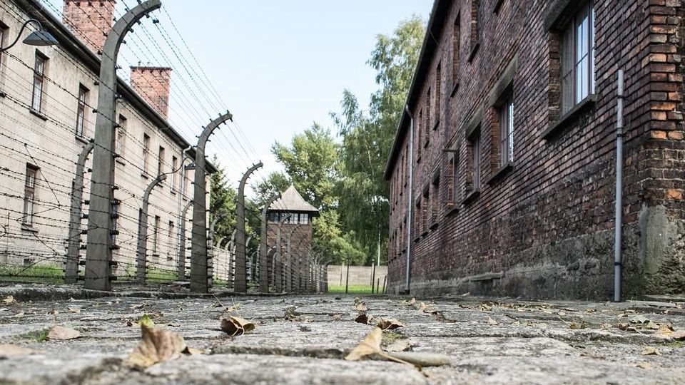 Польша. Освенцим