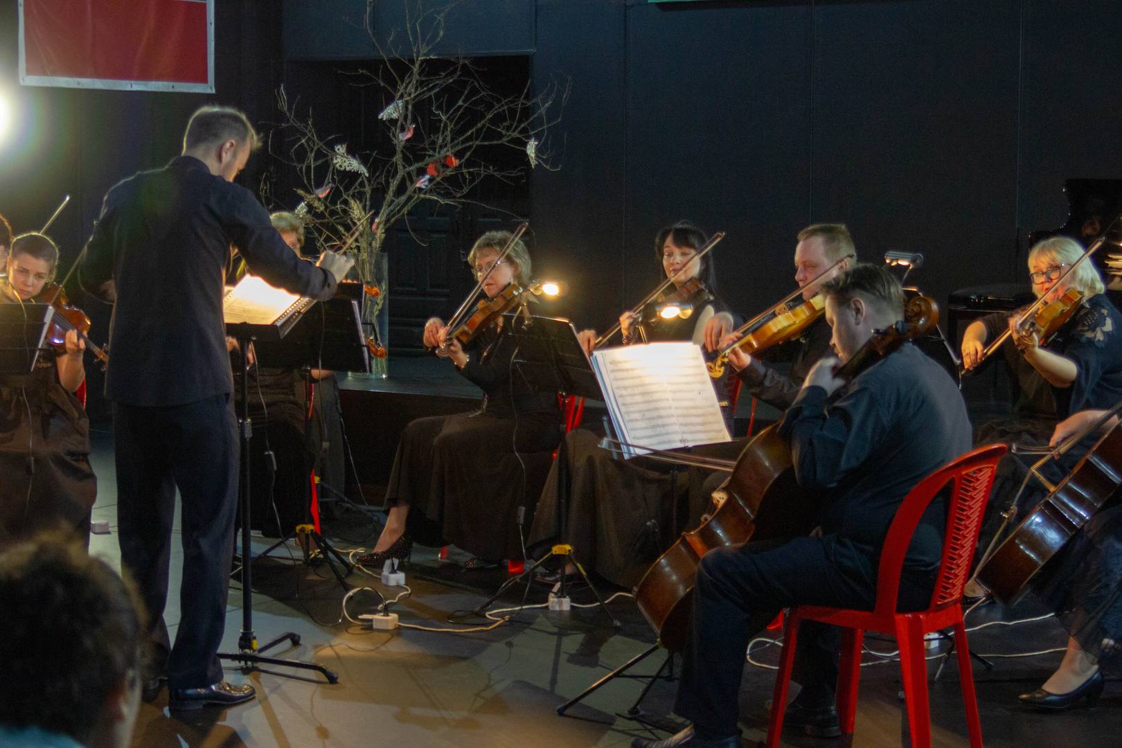 Камерный оркестр Государственной филармонии Костромской области