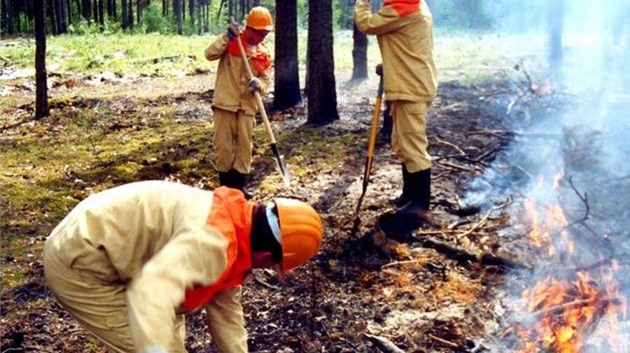 Борьба с лесными пожарами